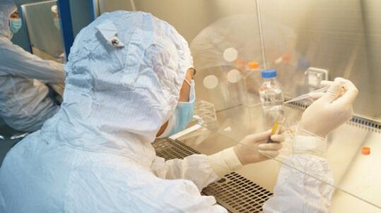 人体麻豆视频在线网站