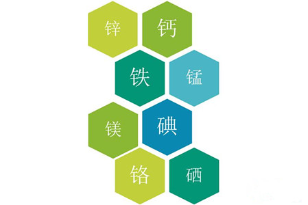 医用麻豆视频在线网站品牌