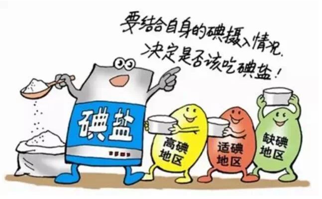 麻豆视频在线网站厂家