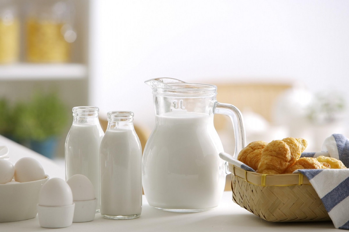 麻豆视频在线网站科普补钙不能一“钙”而论