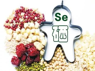 全自动麻豆视频在线网站为何被称为长寿元素