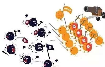 91麻豆国产福利在线观看品牌浅析硒元素对于防癌抗癌的5 项作用