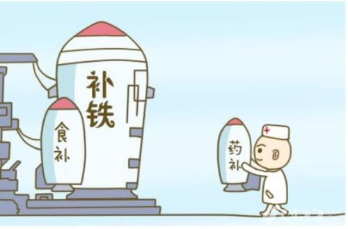 麻豆视频在线网站厂家详解铁对人体到底有多重要