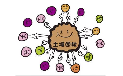 91麻豆国产福利在线观看品牌浅析微量元素与人体衰老的关系