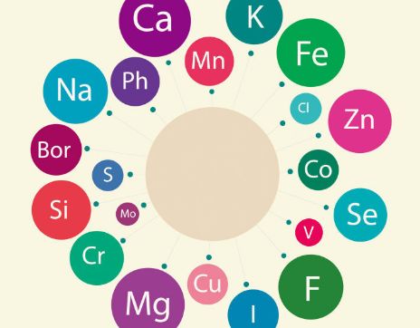 麻豆视频在线网站厂家科普微量元素流失是衰老的一大流失