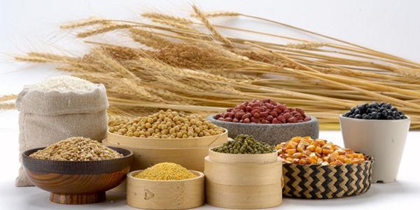 全自动91麻豆国产福利在线观看细缺乏微量元素的危害