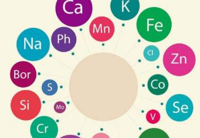 麻豆视频在线网站厂家告诉你人体需要额外补充微量元素吗