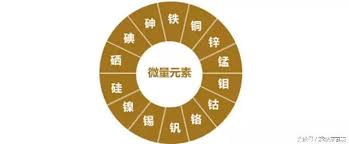 91麻豆国产福利在线观看厂家告诉你人体必需的几种微量元素