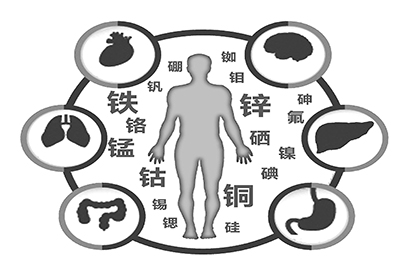 全自动91麻豆国产福利在线观看厂家介绍缺少微量元素的危害 全自动91麻豆国产福利在线观看厂家介绍缺少微量元素的危害