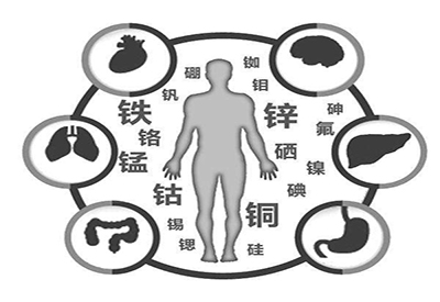 全自动麻豆视频在线网站厂家微量元素在人体中起到哪些作用 全自动麻豆视频在线网站厂家微量元素在人体中起到哪些作用