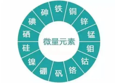 钙铁锌硒检测仪厂家 钙铁锌硒检测仪厂家